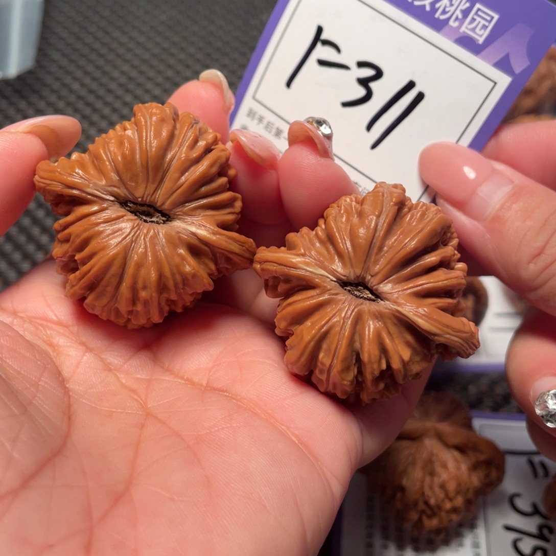 文玩核桃把件311号楼子43