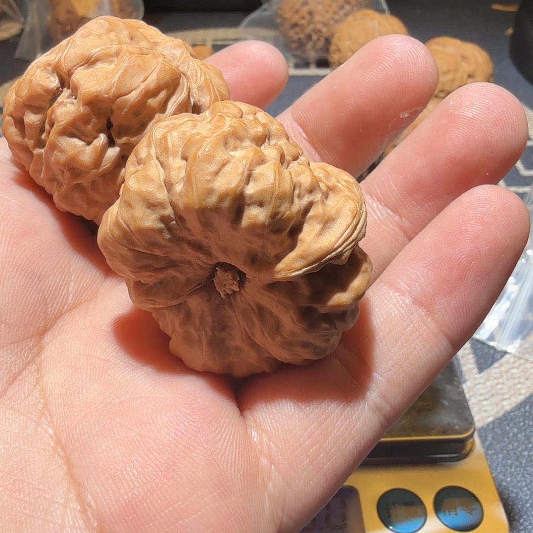 文玩核桃吊坠金蟾