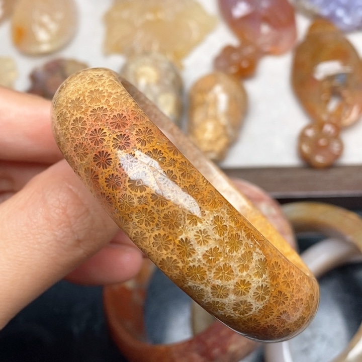 硅化珊瑚（珊瑚玉）手镯未镶嵌52