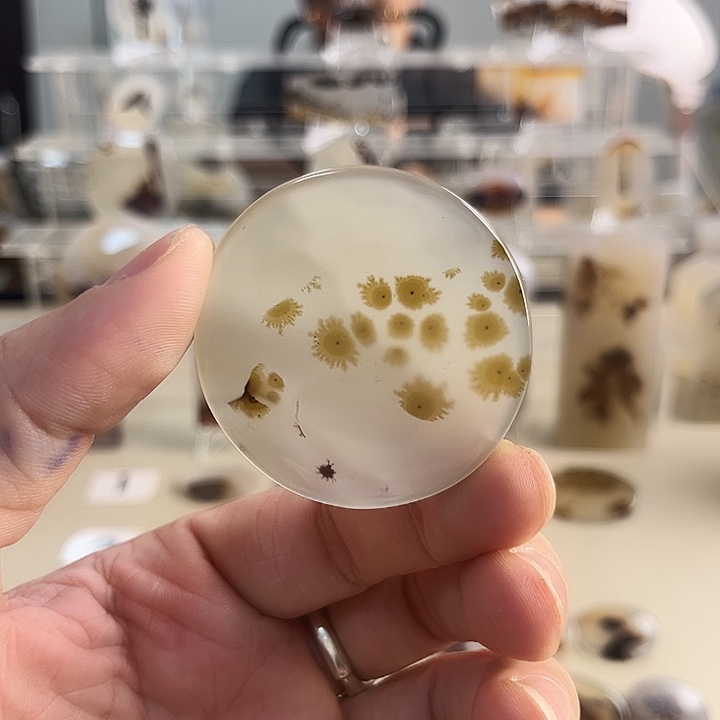 玛瑙/玉髓吊坠(不含链)未镶嵌