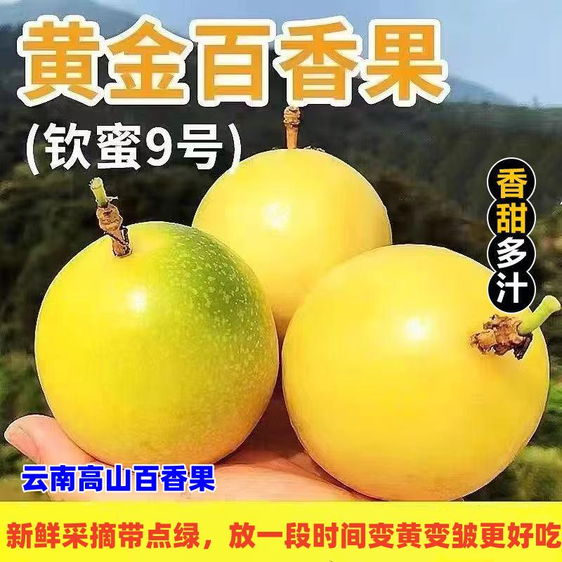【18枚优选~云南高山种植】正宗黄金百香果钦蜜9号新鲜直发鲜果当季