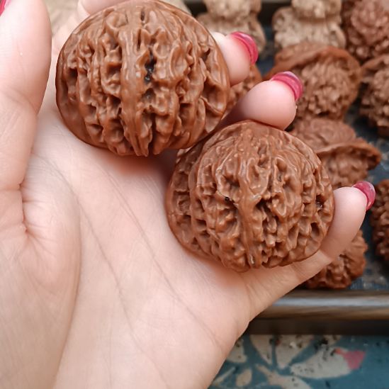 核桃四座楼狮子头狮子头