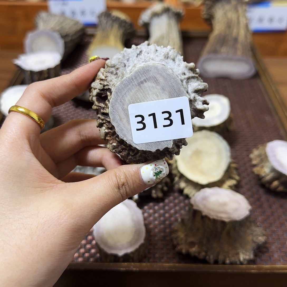 鹿骨手串/手链角帽3131