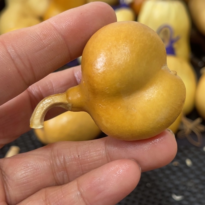 酒***子葫芦哈哈哈哈哈哈哈哈