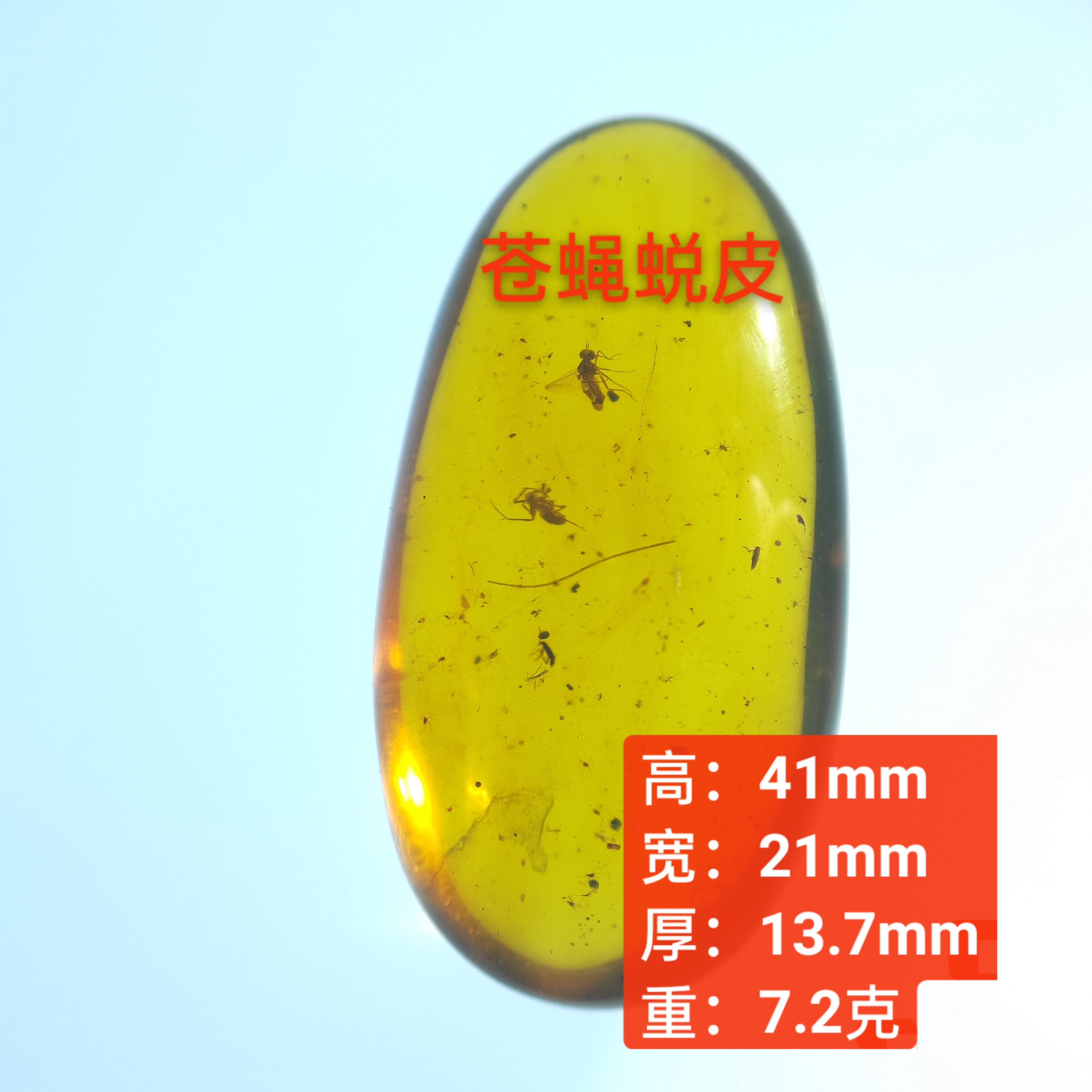 苍蝇蜕皮蜘蛛捕食情景珀吊坠蜘蛛窝天然缅甸琥珀原石裸石无优化