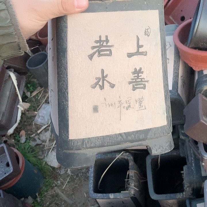 紫砂优秀青年科技人才创新人才