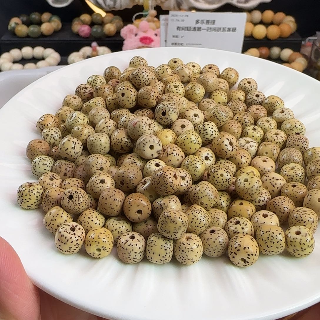 菩提根/象牙果吊坠卡8.5黄籽星月100卡牌➕20备珠