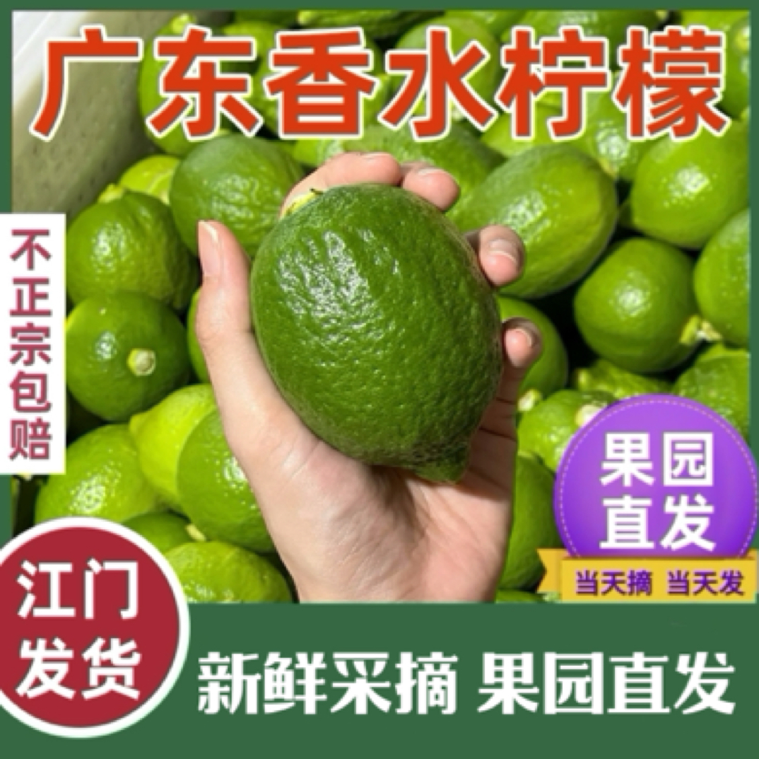 正宗爆香型新鲜采摘广东无籽香水柠檬一级果奶茶店摆摊手打柠檬茶