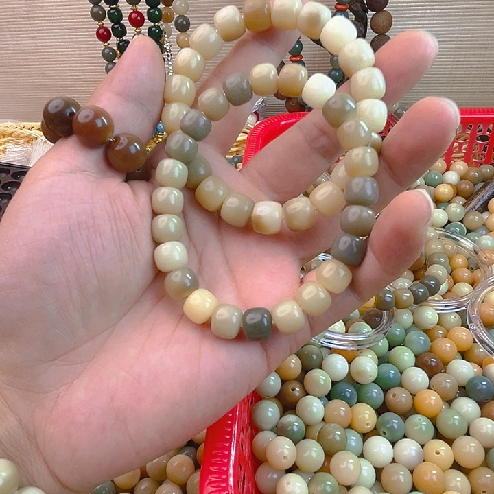 手串菩提根/象牙果