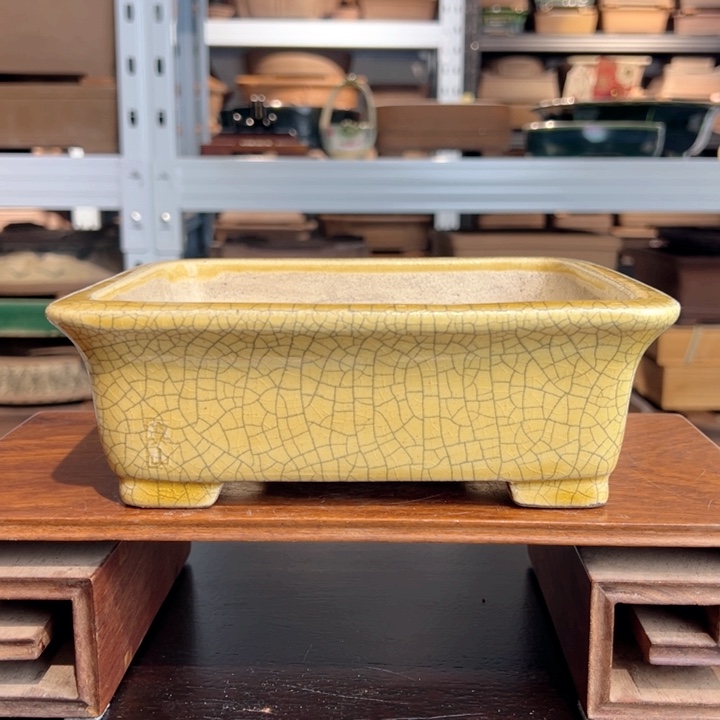 真山黄贯釉20、17、6.5