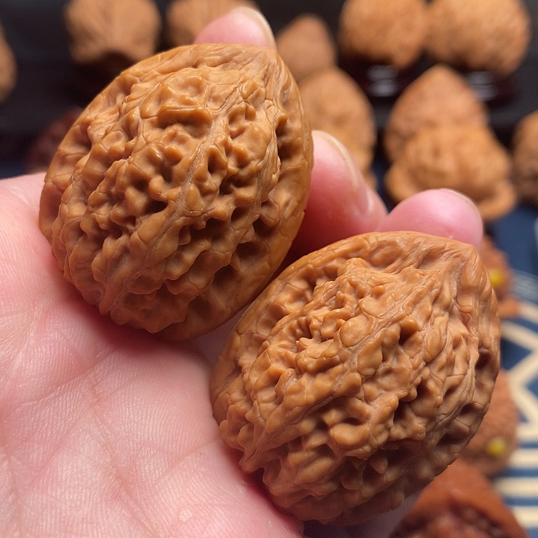 文玩核桃把件32蚂蚁王