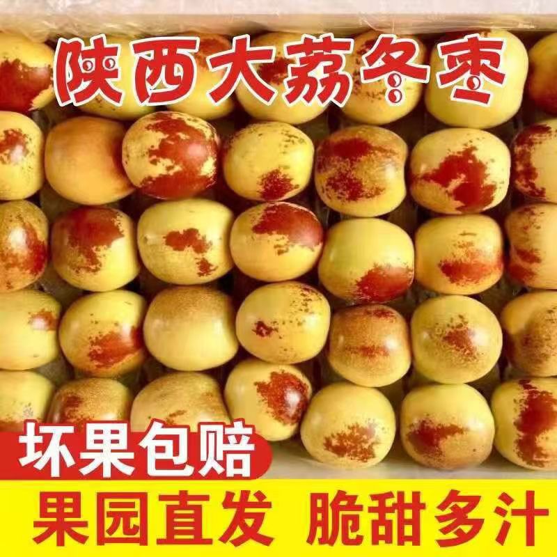正宗陕西大荔冬枣现摘现发应季新鲜水果脆甜多汁