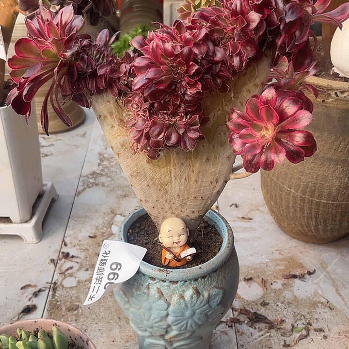 999，香奈儿缀包邮