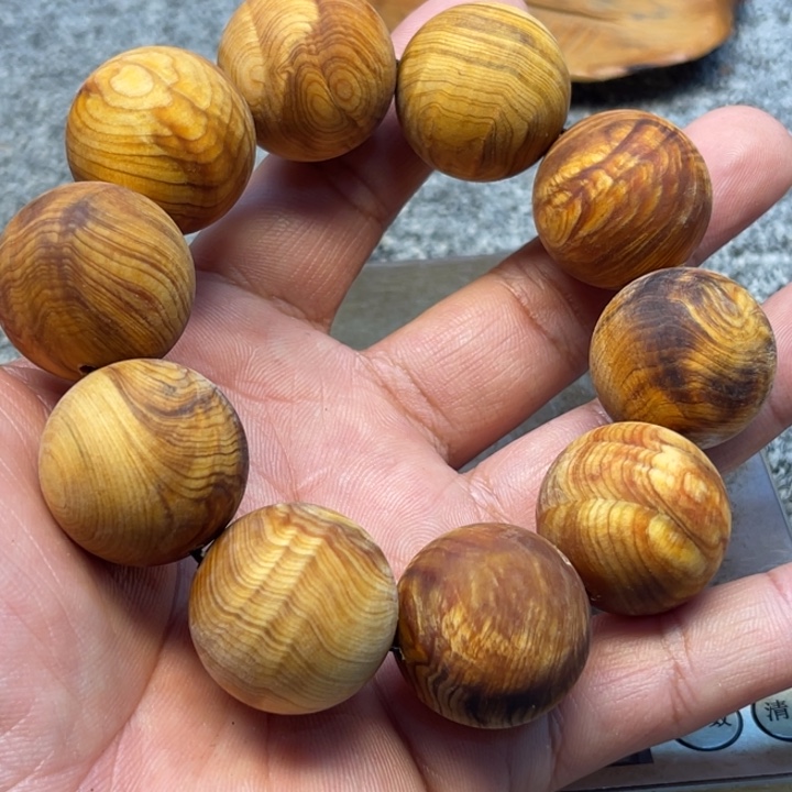 柏木（崖柏）崖柏223