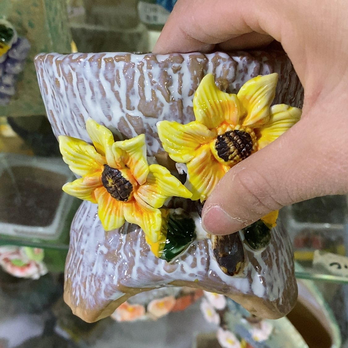 【闪购商品】红陶福利