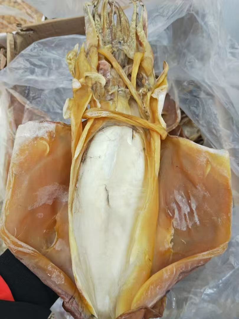 天然淡晒东海特产墨鱼干可煲汤滋补营养适合孕妈宝宝的海鲜干货