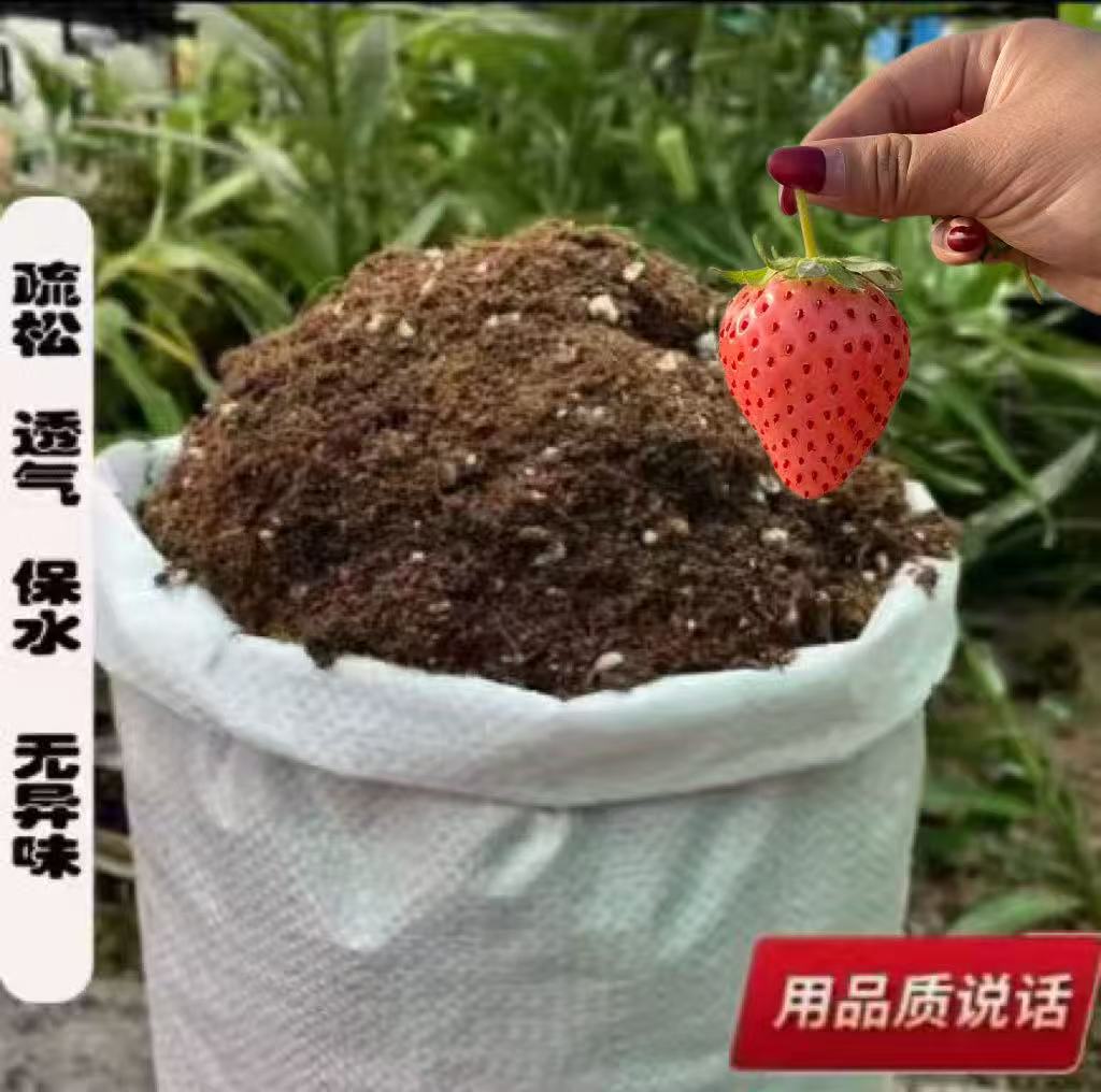 草莓种植专门通用营养土瓜果绿植 疏松透气基地专用种菜种花土壤