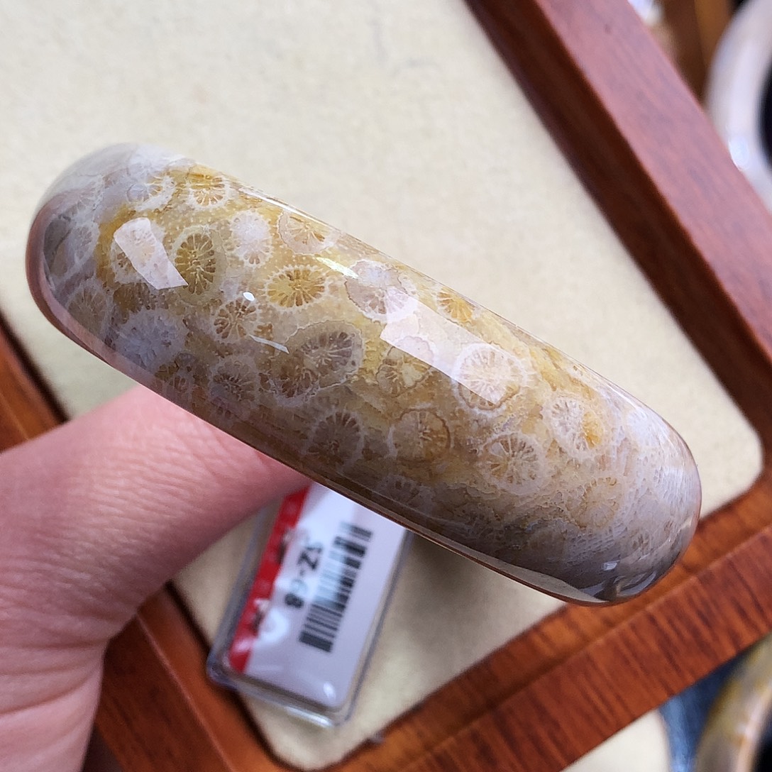 硅化珊瑚（珊瑚玉）未镶嵌39号54圈