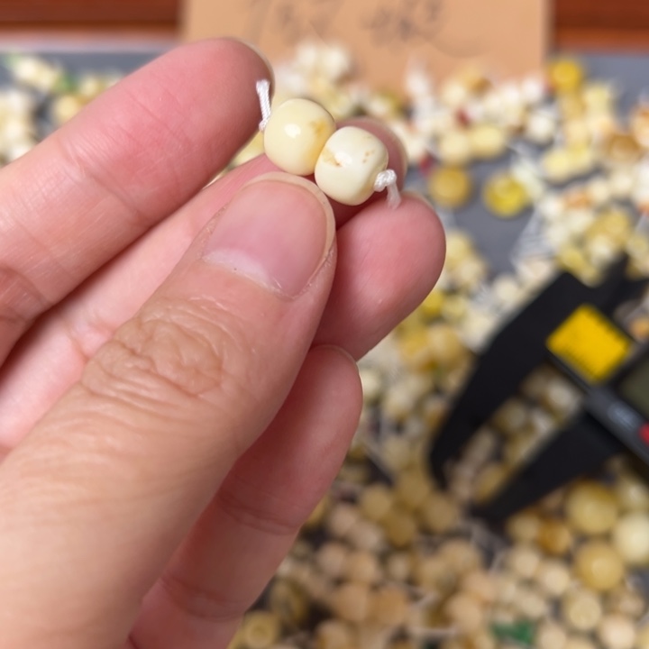 蜜蜡未镶嵌裸石8mm一对