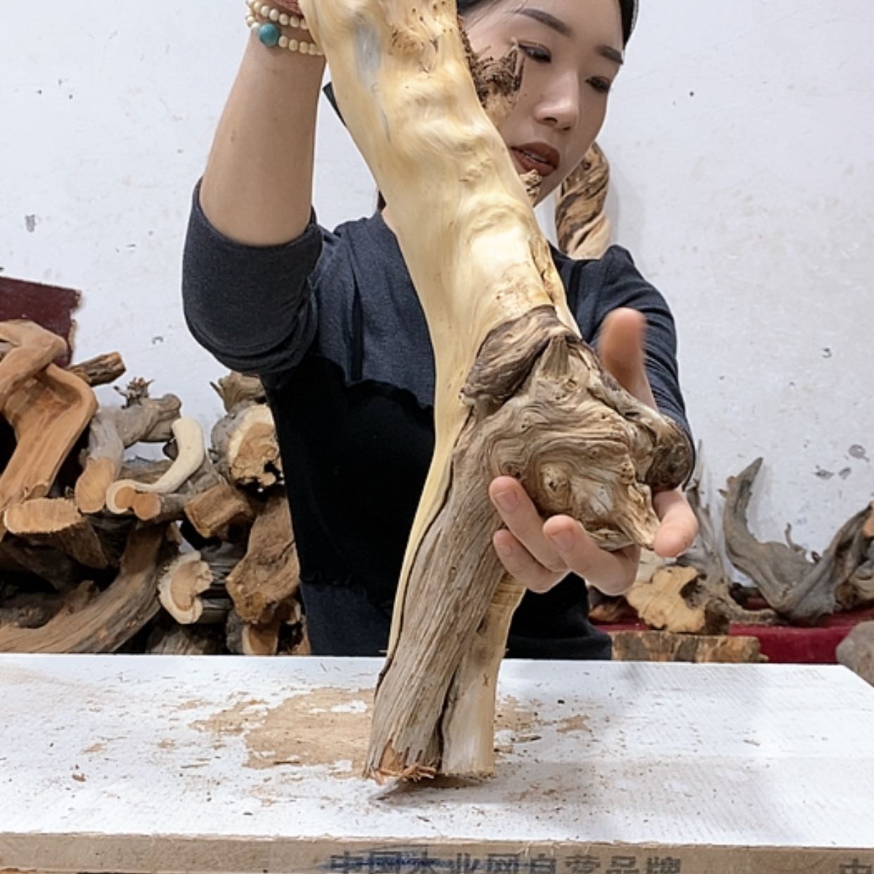 【闪购商品】柏木木*石我们都是好孩子