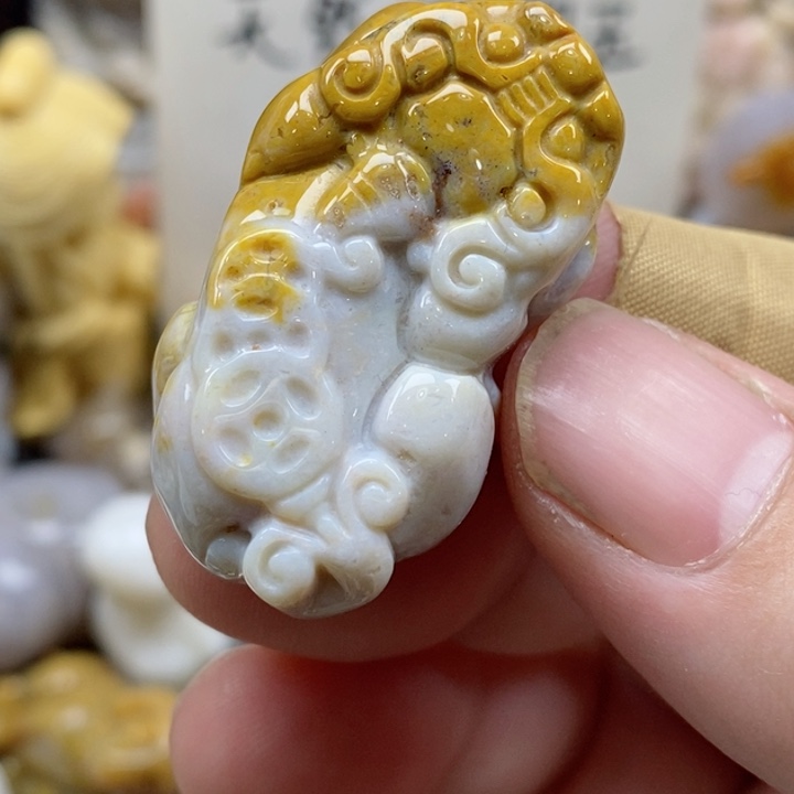 颈饰未镶嵌硅化珊瑚（珊瑚玉）