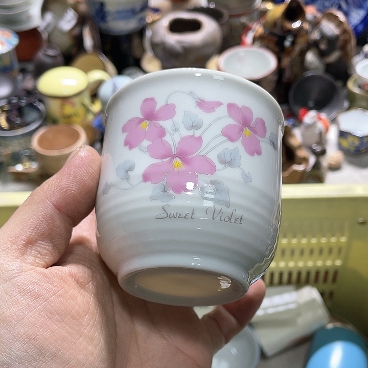 瓷片你是个好朋友一起去旅行