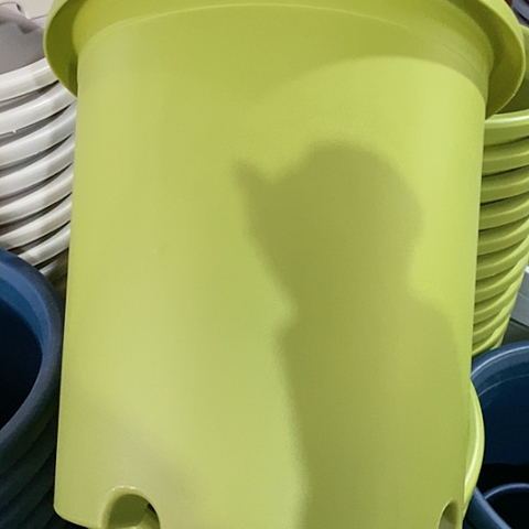 树脂微瑕8#无托果绿3个