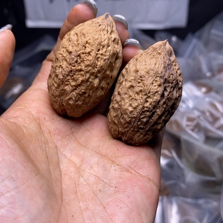 核桃云南野生铁核桃136号32mm