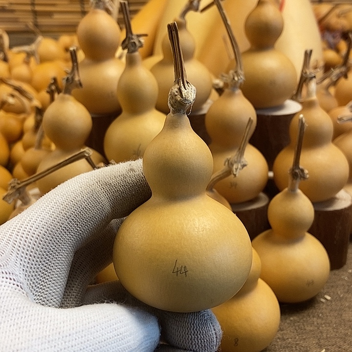 文玩葫芦 完美主义者 慎拍44