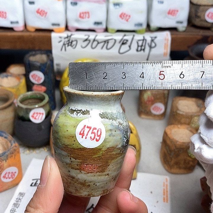 红陶拍5送一个小