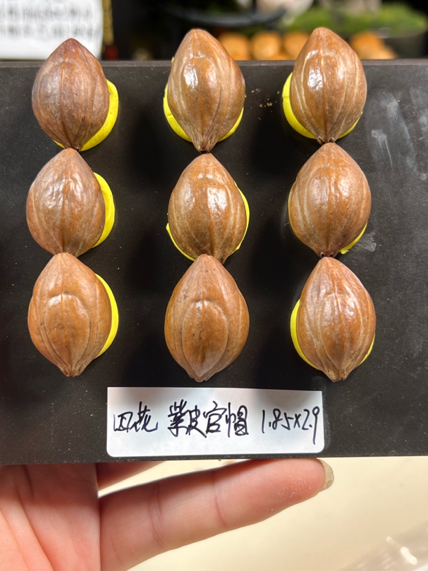 【四花紫皮官帽】橄榄核手串手持展示为样品与实物有细微差别