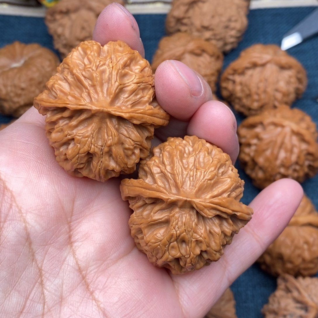 文玩核桃把件38精品苹果全品