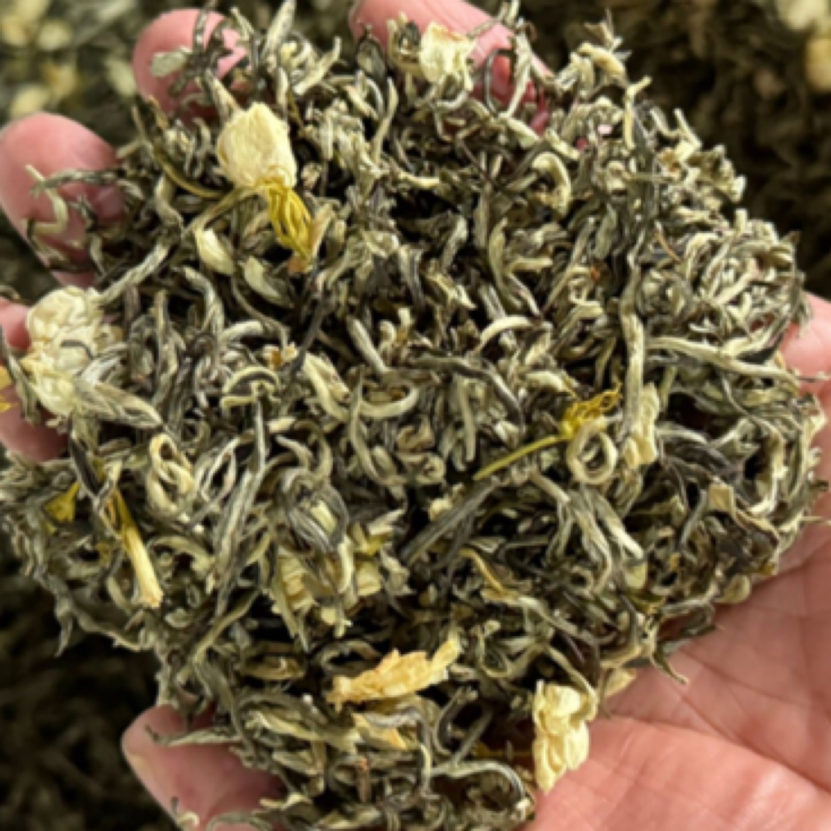 茉莉花茶精品雪花王25年茉莉飘雪21