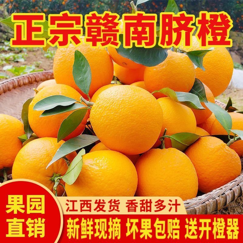 正宗赣南脐橙江西产地赣州脐橙当季新鲜手剥甜橙孕妇橙子果园包邮