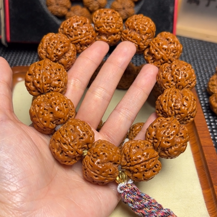 手串金刚菩提27矮桩梅花