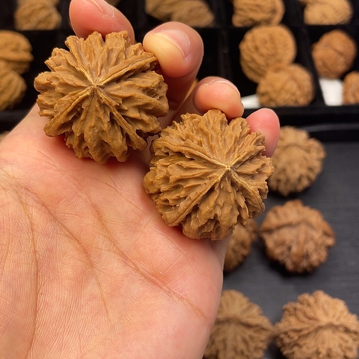 文玩核桃吊坠把vvvvvvvvvvvvvvvvvvvvvvv