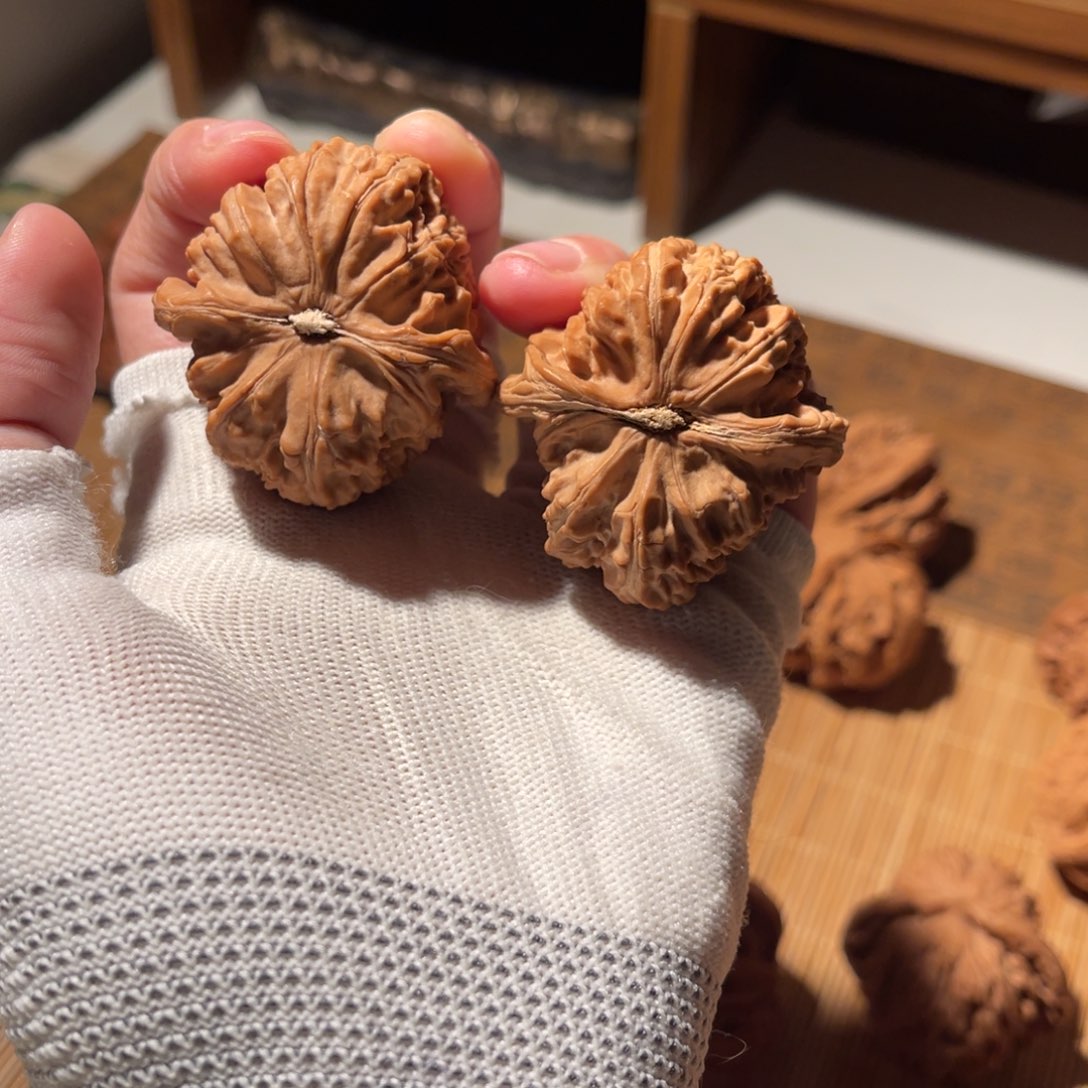 文玩核桃把件40三角白全品，不退不换