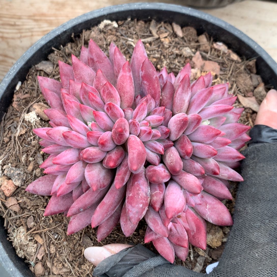 木***?A749 售后范围：签收起7天内，录开箱视频