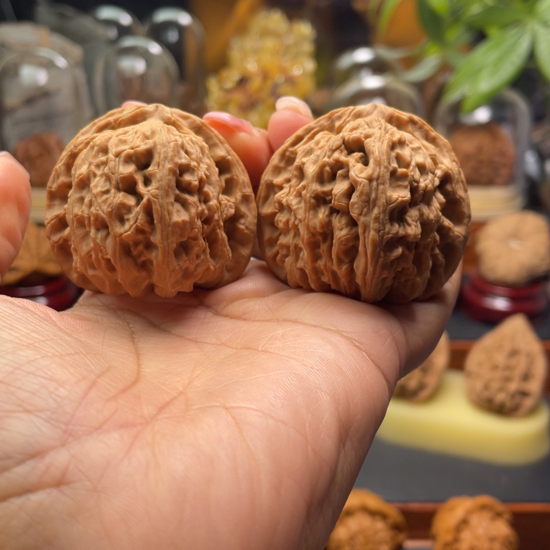 精***、文玩核桃把件白狮子44