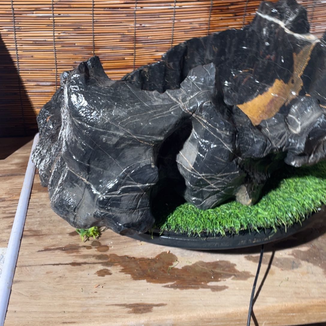 石头落**声888888888888888888