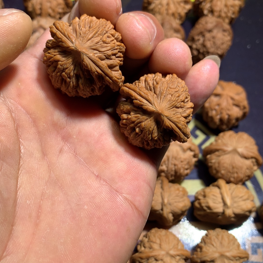 懒***.文玩核桃把件虎头35