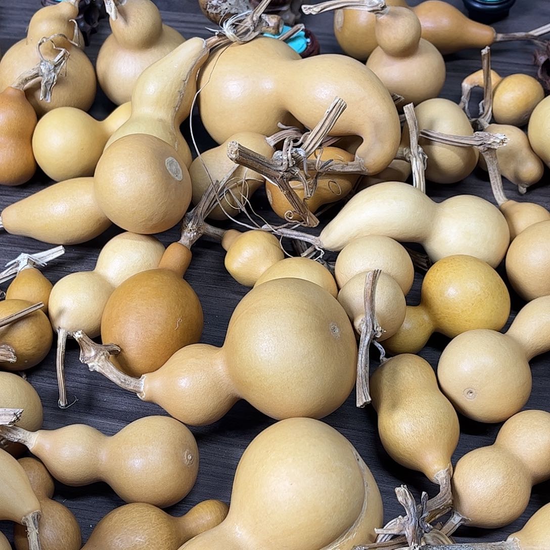 有***白葫芦瓜皮蛋肉炒饭即可免费