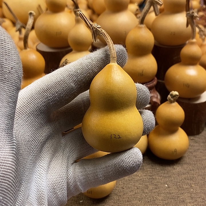 文玩葫芦 完美主义者 慎拍122