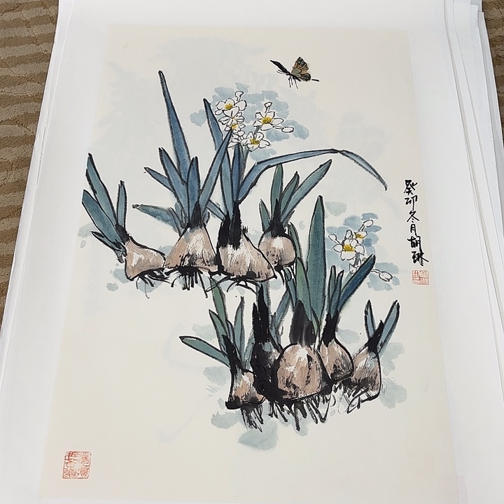 国画花鸟的羽毛三开