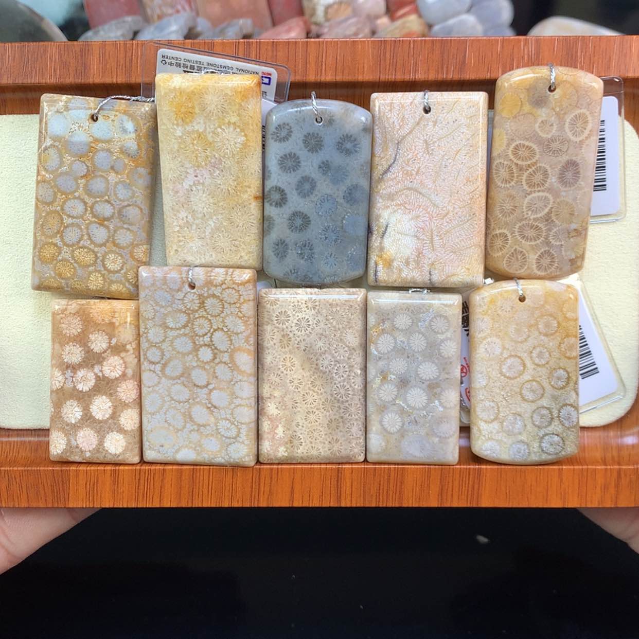 【闪购商品】颈饰未镶嵌硅化珊瑚（珊瑚玉）2号单价20一颗可挑选