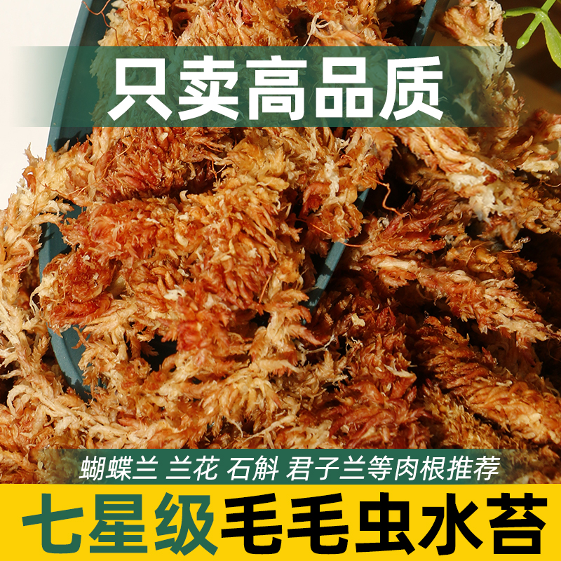 CPAI进口智利基质长条水苔毛毛虫营养土介质干苔藓蝴蝶兰植物专用