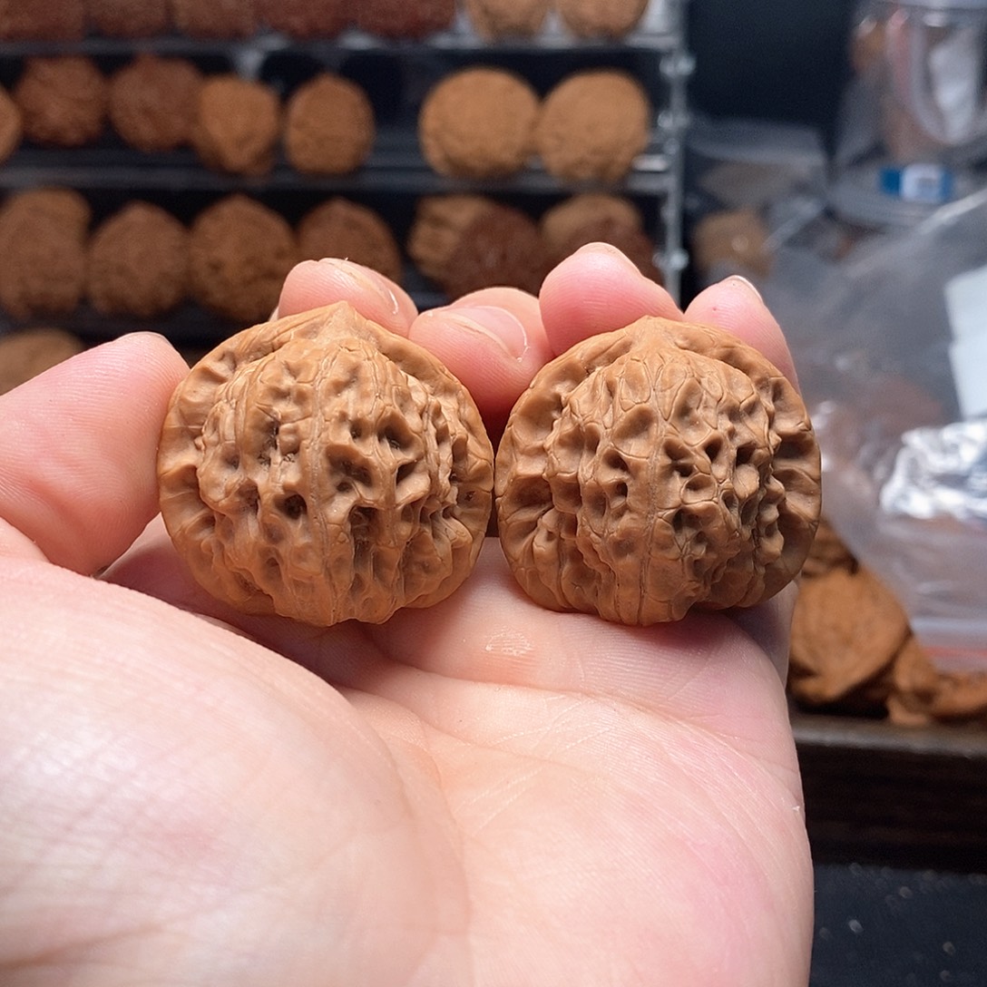 1文玩核桃白蛇谷36-369