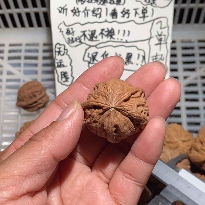蛤***人核桃元宝异形尺寸34