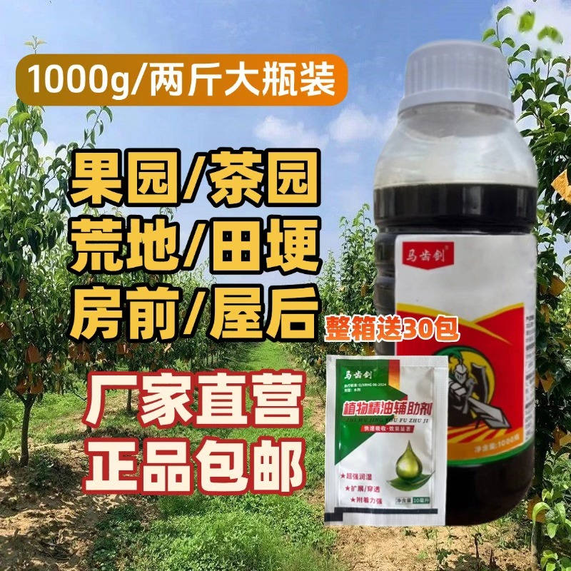 马齿剑果园茶园田埂道路房前屋后通用搭配方便溯源直发有机质