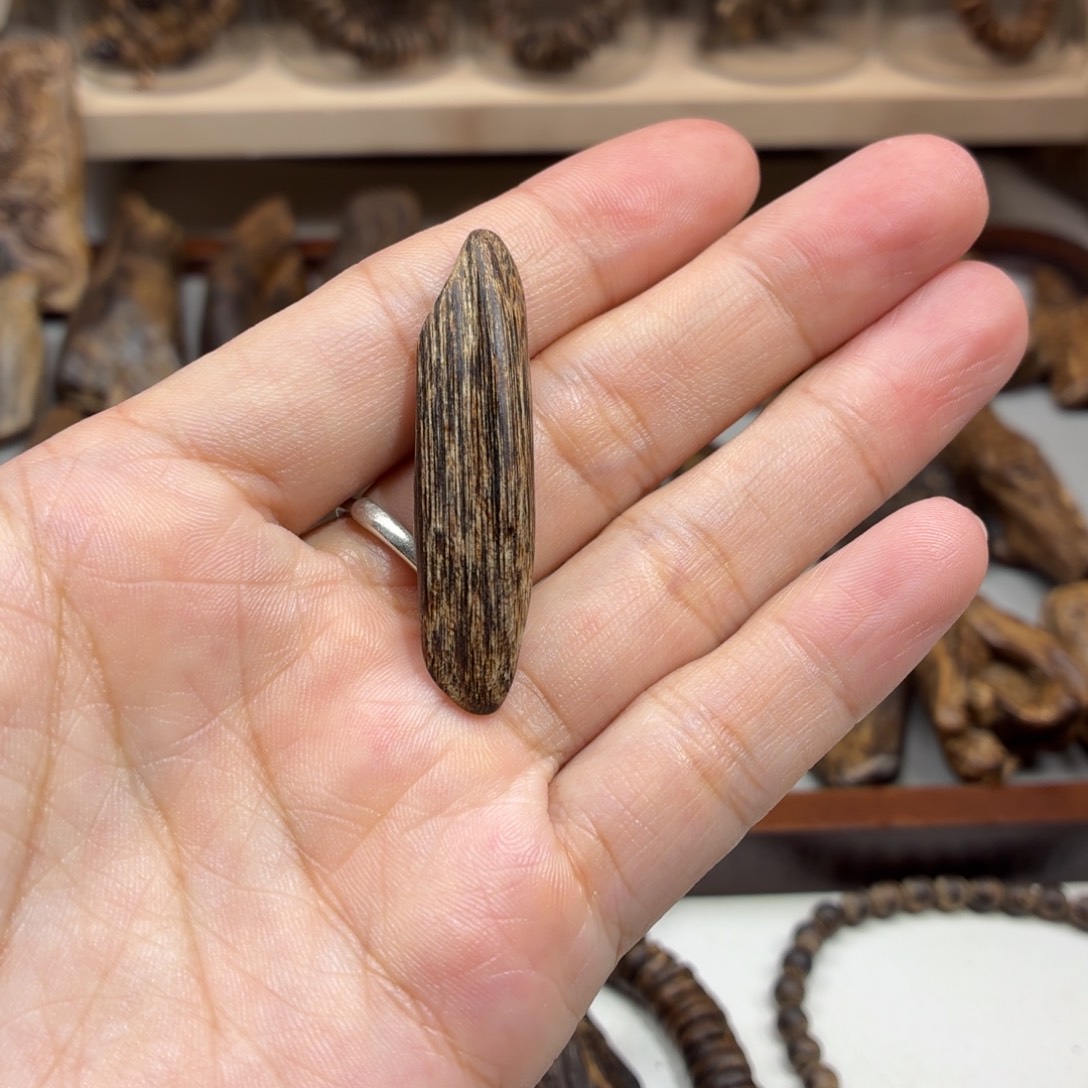 沉香沉香碎屑文莱